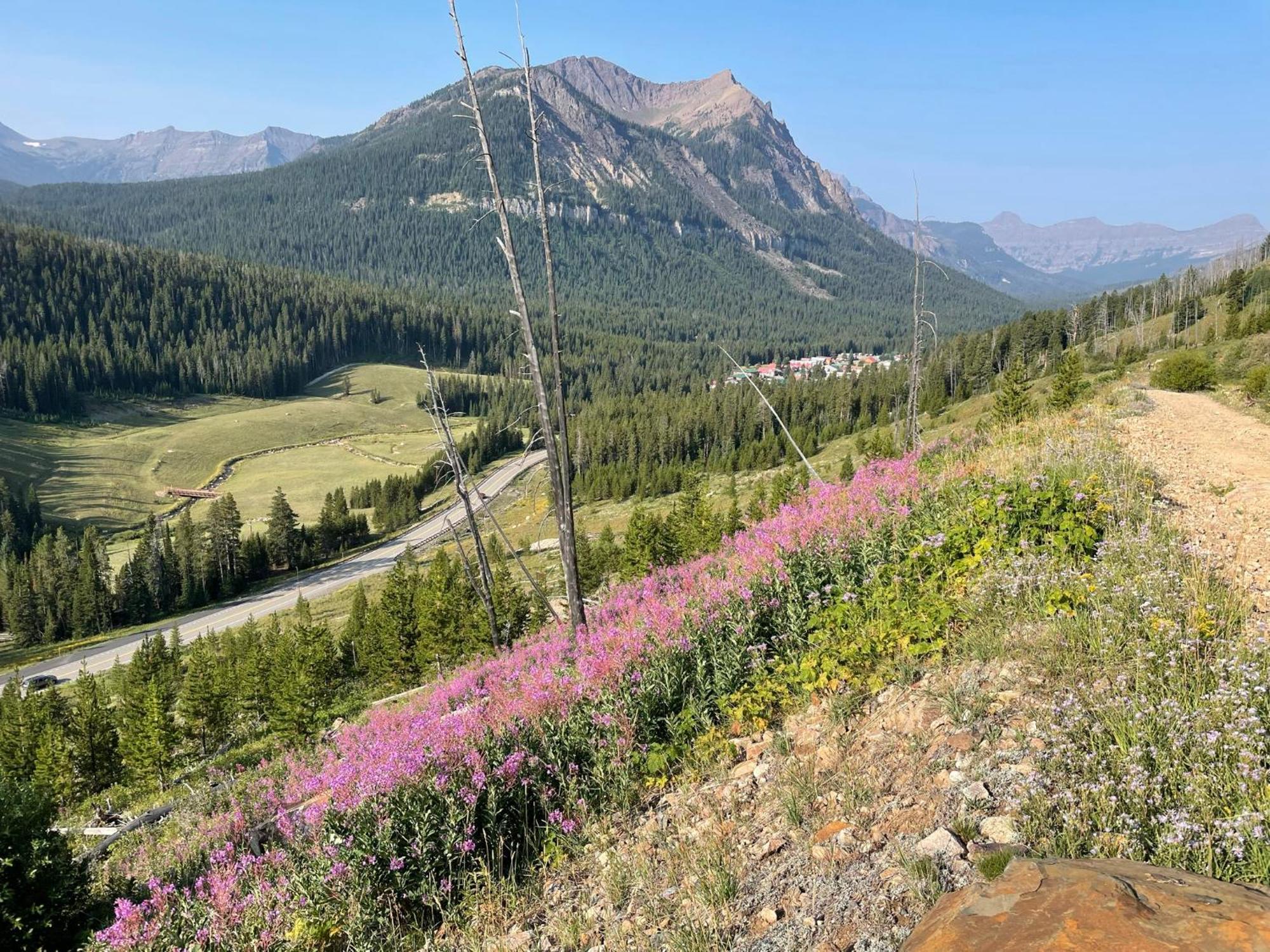 Antlers Lodge Cooke City Εξωτερικό φωτογραφία