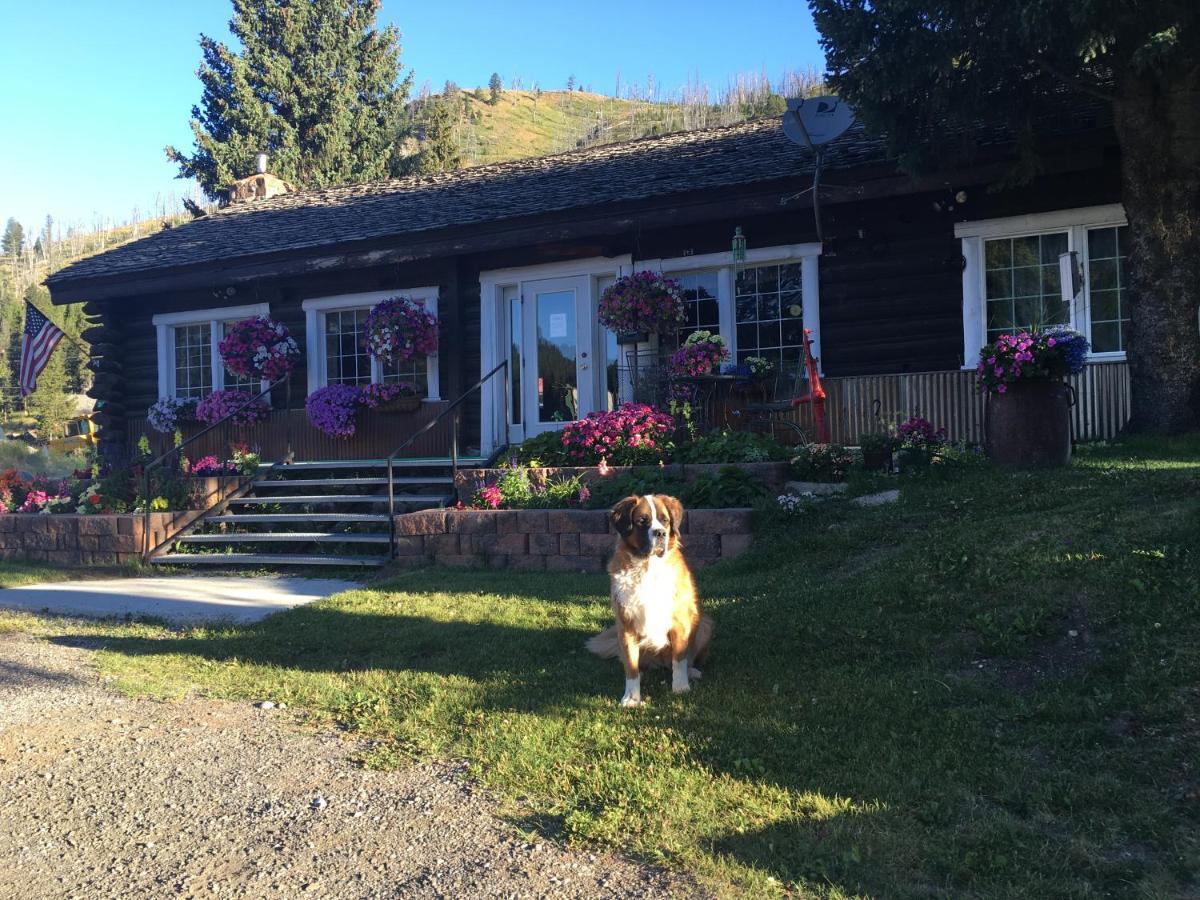 Antlers Lodge Cooke City Εξωτερικό φωτογραφία